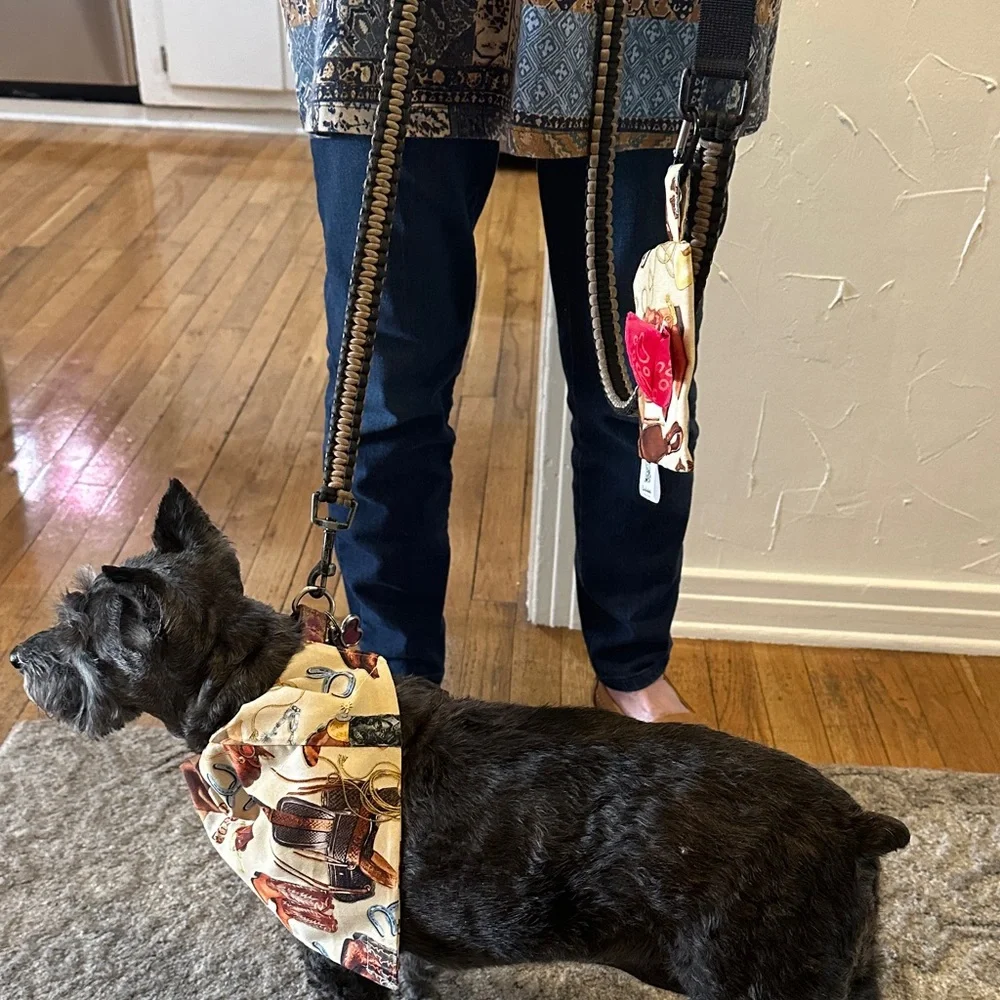 Stylish Dog Bandana with Matching Poopie Bag